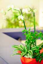 physiotherapie-ludwig praxis-rundgang